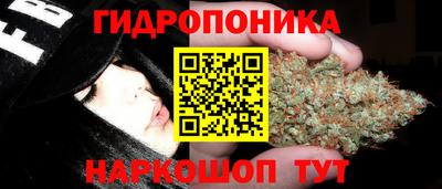 кокс Будённовск