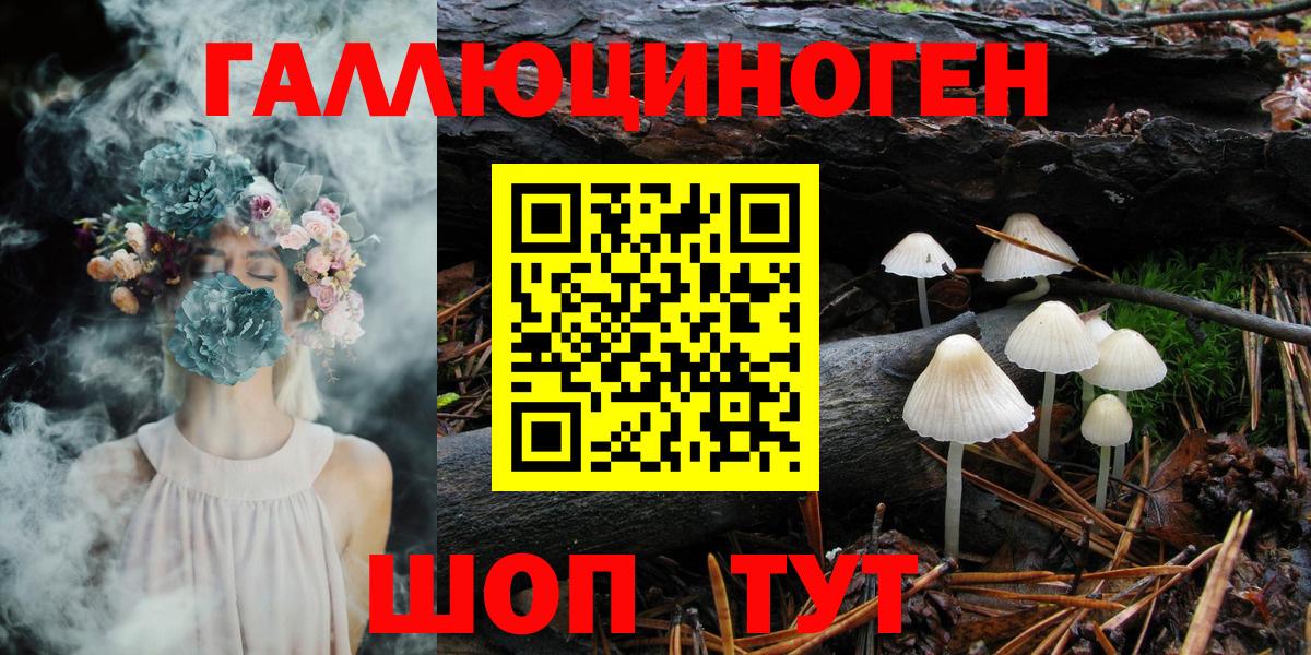 Галлюциногенные грибы прущие грибы Аша