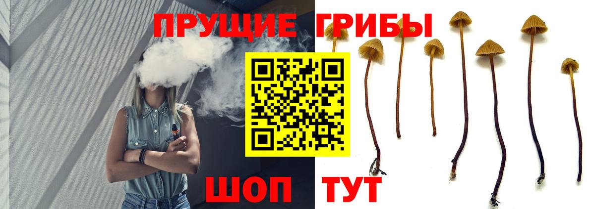 Галлюциногенные грибы Psilocybine cubensis  Вход с VPN  где купить наркотик  Аша 